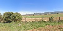 Carmel Valley Packing 01
