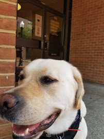Chessie Federal Credit Union 03