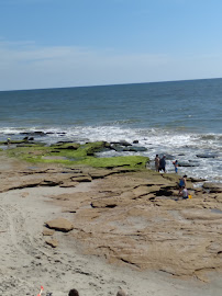 Sea Coast Rentals 01