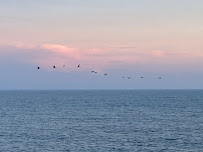 Sea Coast Rentals 02