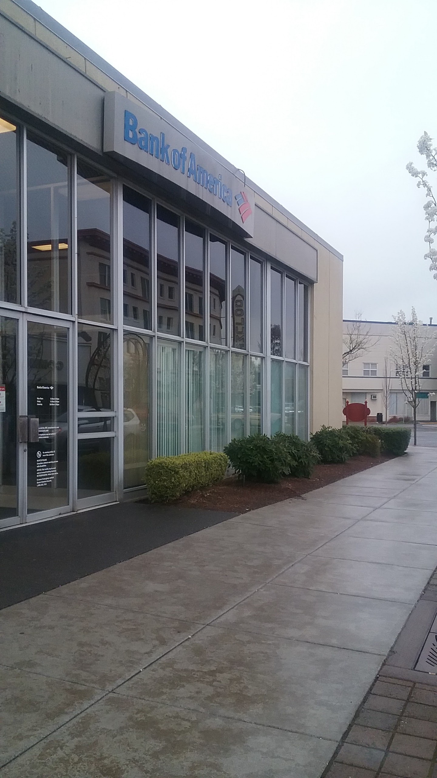 Bank of America (with Drive-thru ATM) 01
