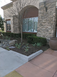 Chase Bank 03