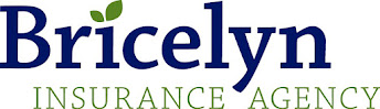 Bricelyn Insurance Agency 02
