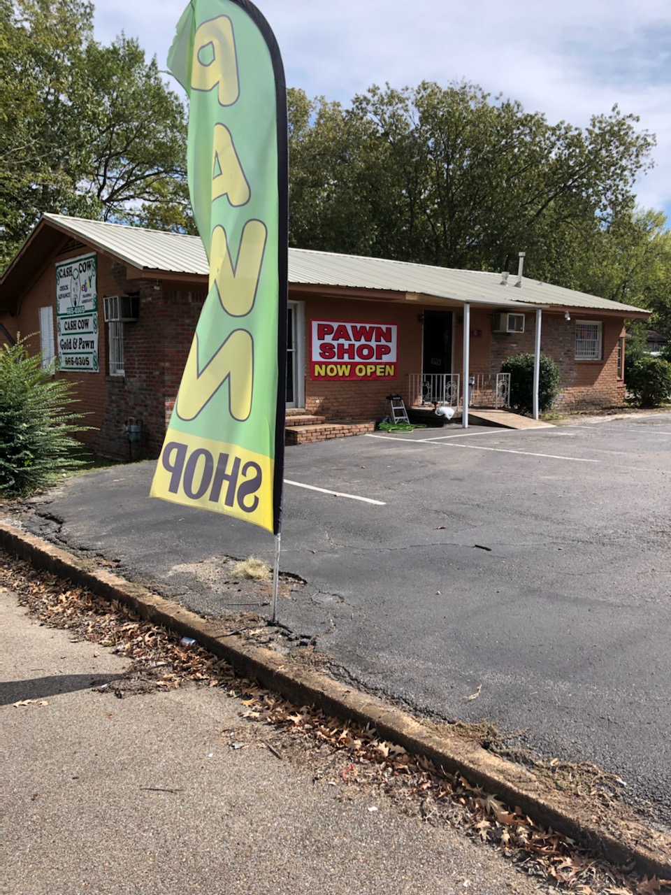 Cash Cow Pawn 01