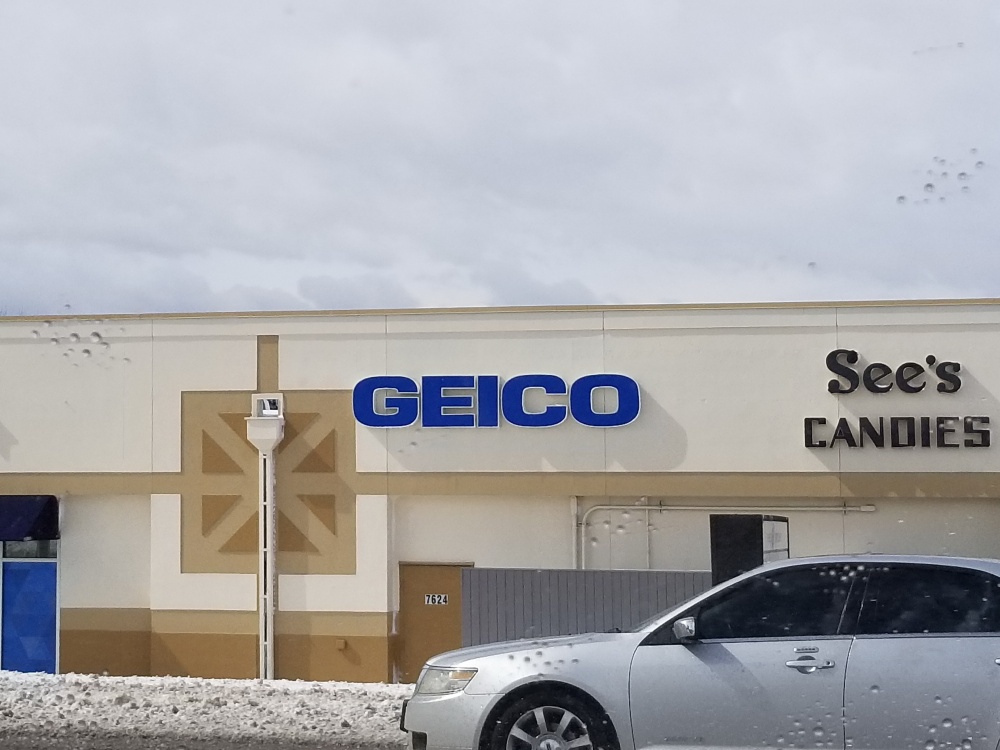GEICO Insurance Agent 01