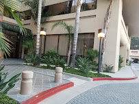 Boulevard Management 03