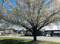 First Bank - Asheville West, NC 04