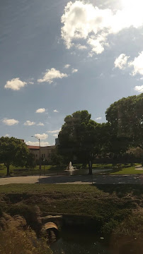 Town of Palm Beach Federal CU 02