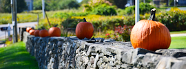 Midcoast Federal Credit Union 03