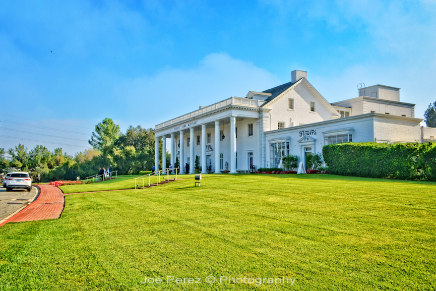 Forest Lawn 01