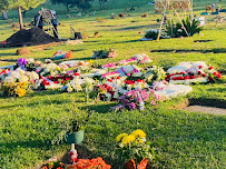 Forest Lawn 03