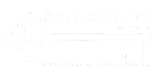 Secure Choice Marketing 03