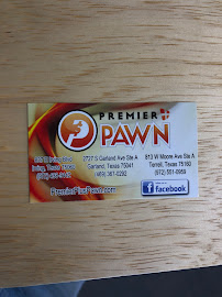 Premier Plus Pawn 03
