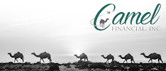 Camel Financial Inc 01