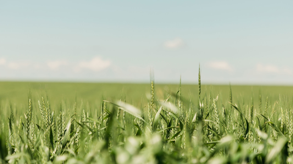 Farm Credit of Southern Colorado - Burlington Lending Office 01