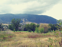 Wolf Creek Resort 03