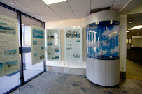 Texas Trust Credit Union 03