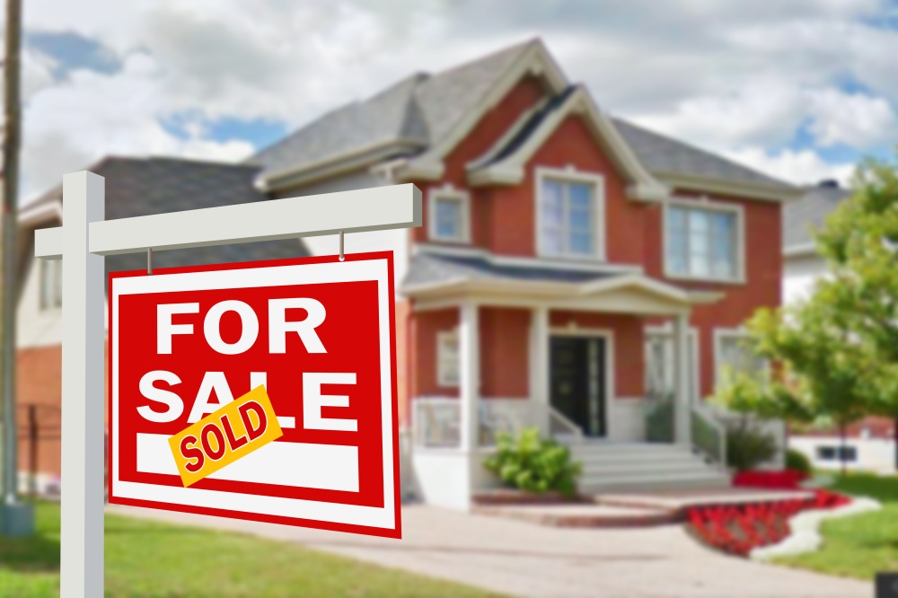Land O'Lakes RE/MAX Champions Leisure to Luxury International Local Realtors 01