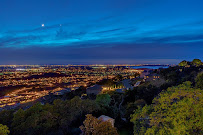 Leisha Freitas - El Dorado Hills, Keller Williams Realty 02