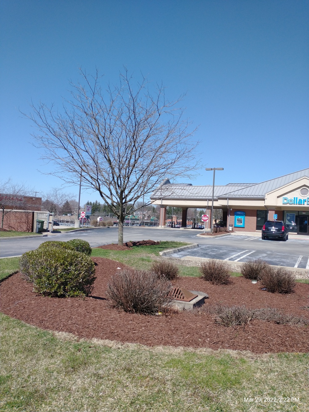 Dollar Bank 01