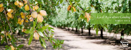 Yosemite Farm Credit-Los Banos 01