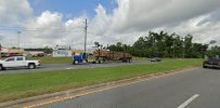 Money Tree of Florida Inc 01