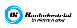 Banindustrial 04