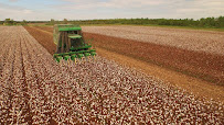 Louisiana Land Bank 01