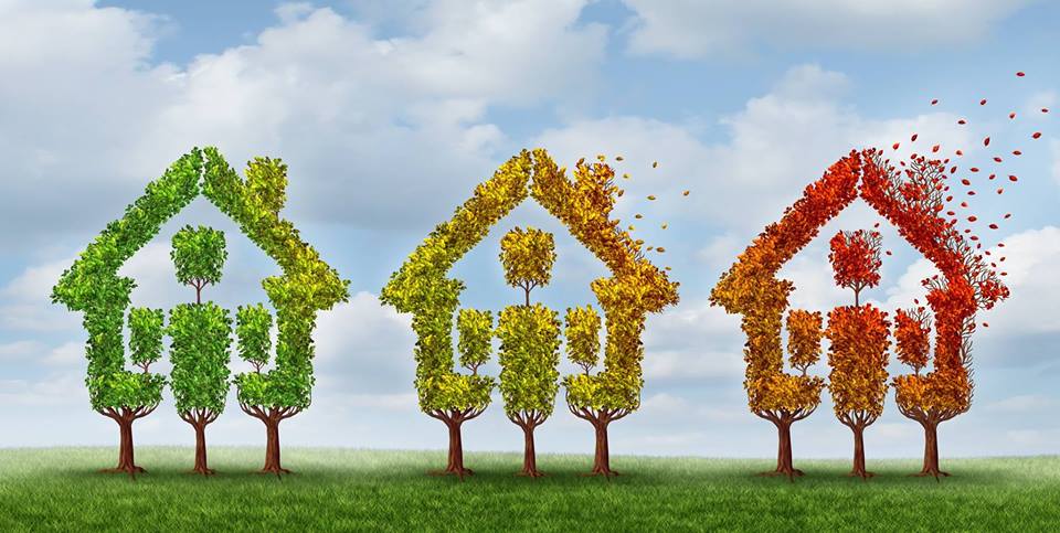 Florida Preferred Mortgage, Inc. 01