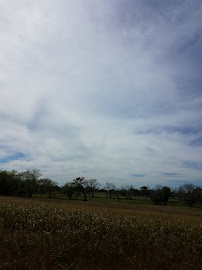 Hochheim Prairie Farm Mutual 01
