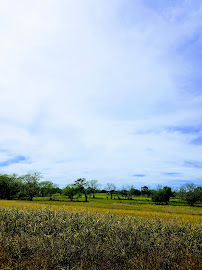 Hochheim Prairie Farm Mutual 04