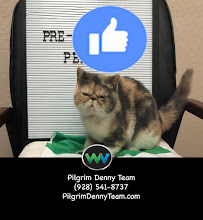 Pilgrim Denny Team- Wallick & Volk Mortgage 02