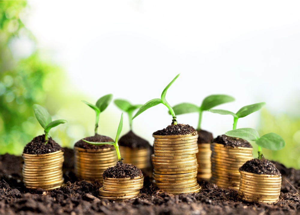 Lifetime Financial Growth 01