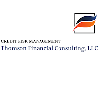 Thomson Financial Consulting LLC 03