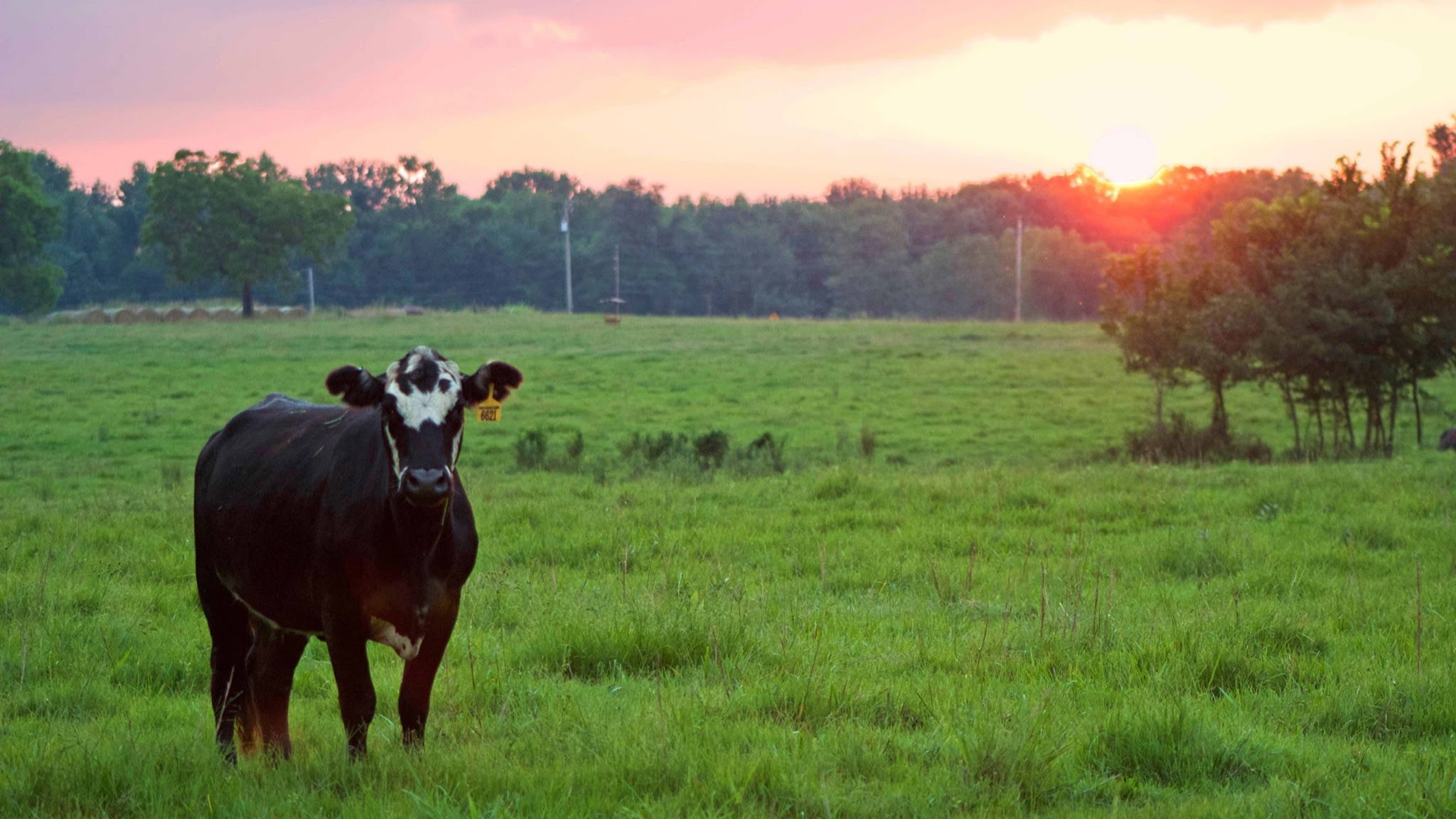 Farm Credit of Western Arkansas 01