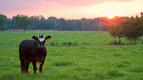 Farm Credit of Western Arkansas 01