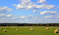 Farm Credit of Western Arkansas 03