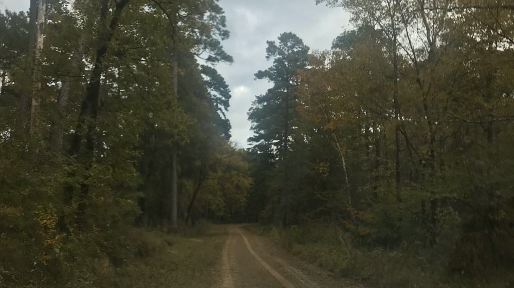 Texas Lone Star Title 01
