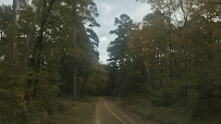 Texas Lone Star Title 01