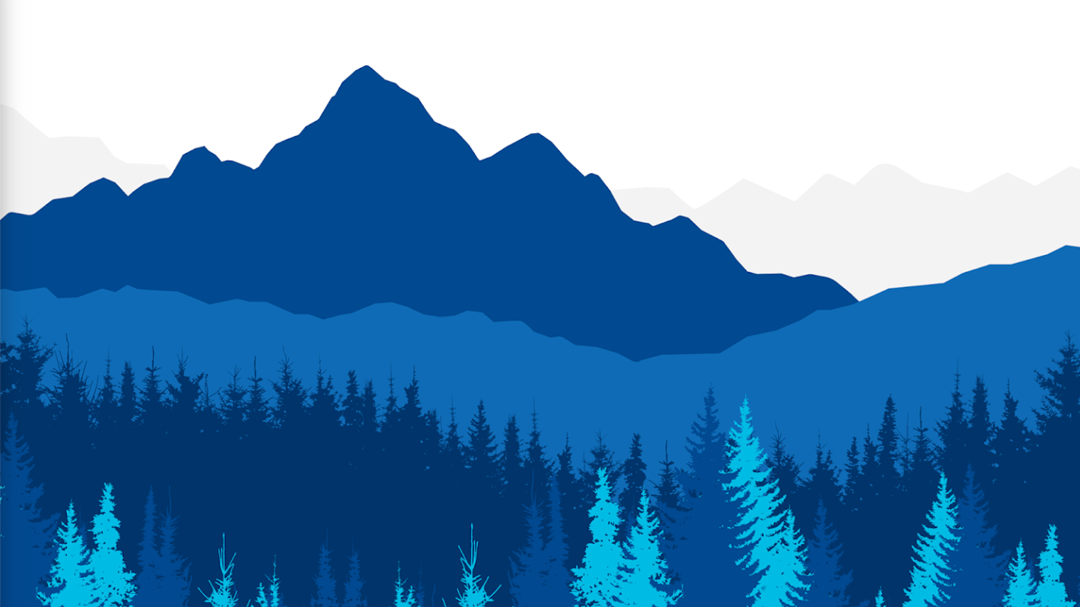 Alaska USA Federal Credit Union 01