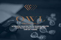 Owl Financial Group, LLC 01