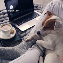 Lexington Law 02