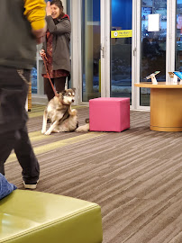 Numerica Credit Union - Sprague Branch 03