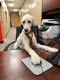 Kendell Woodyard - State Farm Insurance Agent 02