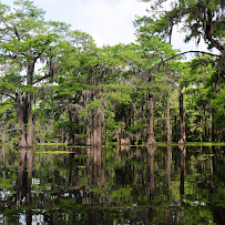 Bayou Bookkeeping & Tax Services 01