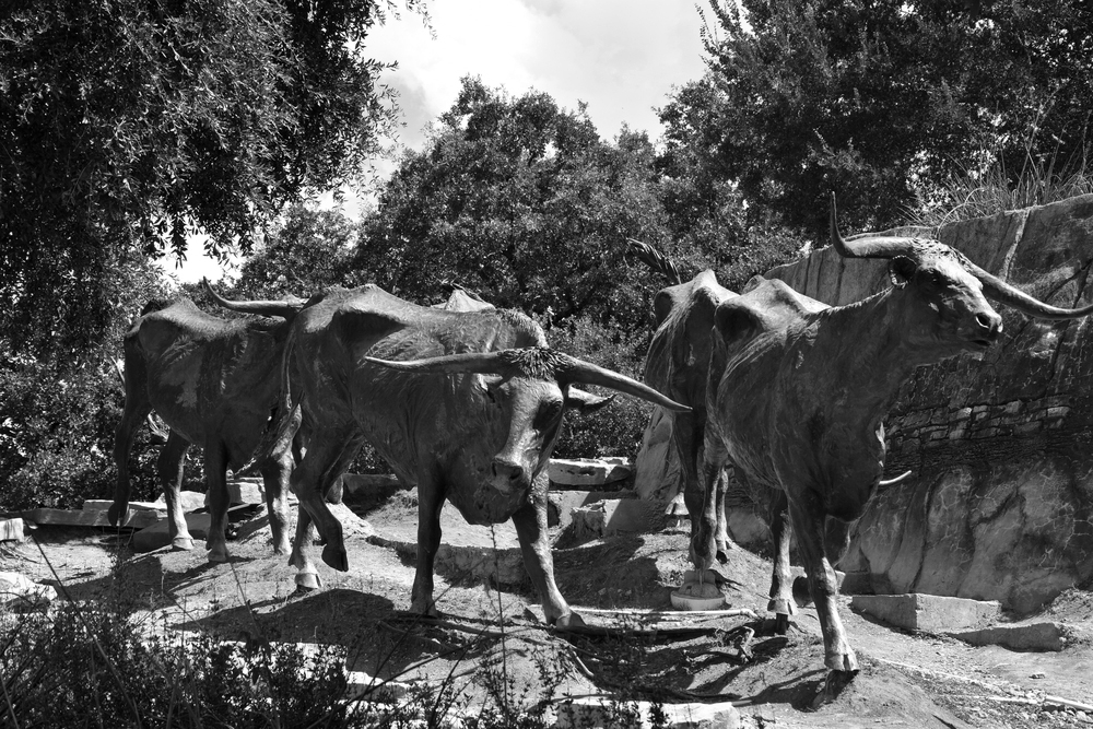 Cattlemens Bank 01