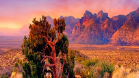 CoopersWest Insurance Agency, LLC 02