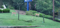State Employees’ Credit Union 01