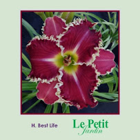 Le Petit Jardin 01