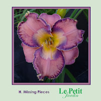 Le Petit Jardin 02